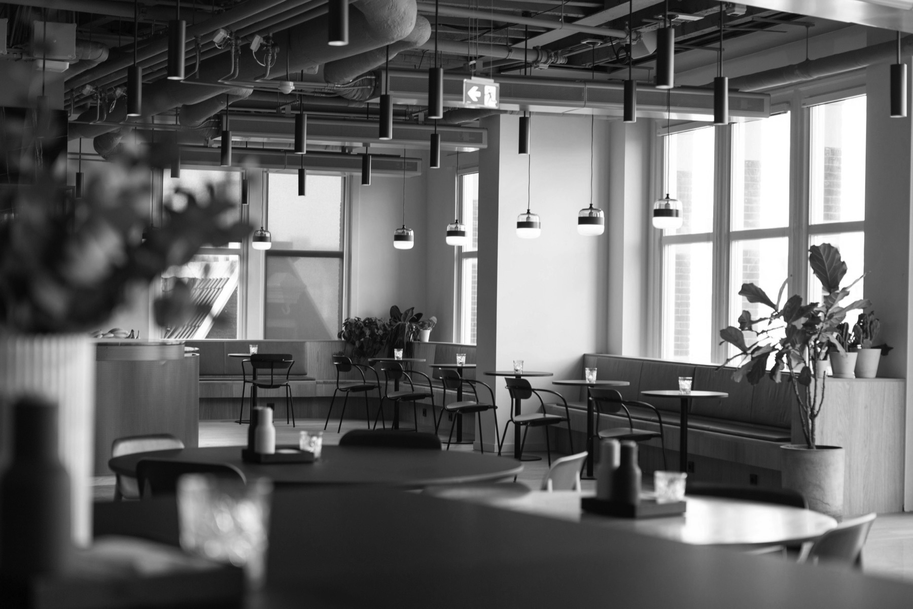Modern office interior, grayscale